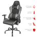 Cadeira Gaming Trust GXT707G Resto 